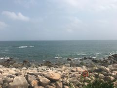 -广东惠东海龟国家级自然保护区