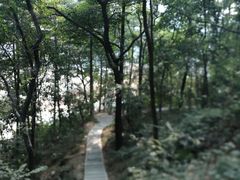 -云溪植物园