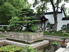 -上海醉白池公园