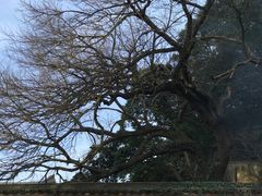 -普陀山慧济禅寺