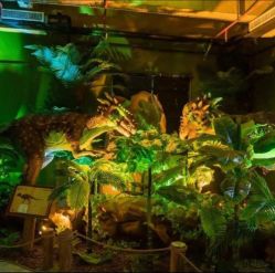 -恐龙探索乐园(磁器口店)