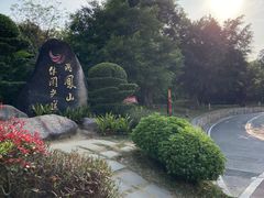 -飞凤山奥体公园