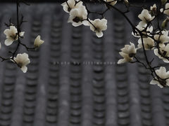 -杭州上天竺法喜讲寺