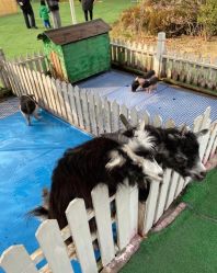 -萌宠亲子动物乐园(槐房万达店)