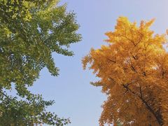 -日本风情街