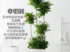 -京东家装(昆明总店)