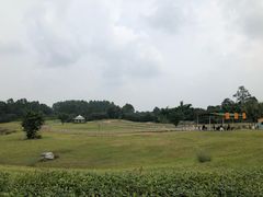 -保利石象湖景区