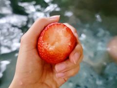 -华宁象鼻温泉旅游文化度假区