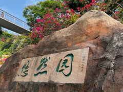 -仙岳公园