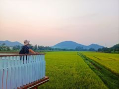 -艾米稻香小镇