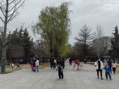 -咸阳湖景区
