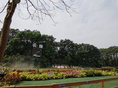 -广州长隆飞鸟乐园