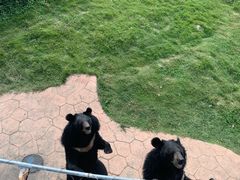 -无锡动物园·太湖欢乐园