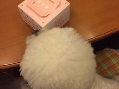 -贝紫Style(木马公寓店)
