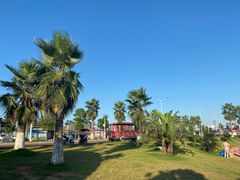 -柳湖沙月沙滩公园