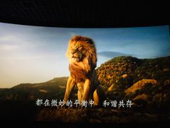 -万达影城(金山万达广场IMAX店)