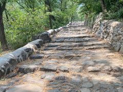 -阳台山自然风景区