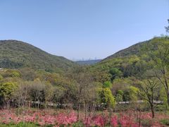 -南京老山国家森林公园