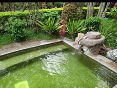 -金穗园温泉酒店