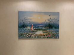 -薇兰专业脱毛连锁机构