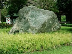 -桂湖森林公园