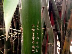 iphone_upload_pic-望江楼公园