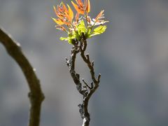 -黑龙潭风景区