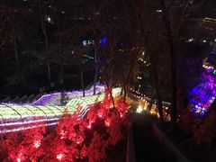 -沕沕水生态风景区