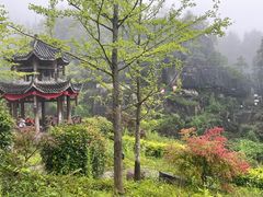 -梭布垭石林景区