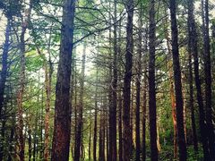 -白草畔自然风景区