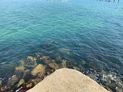 -青岛第二海水浴场