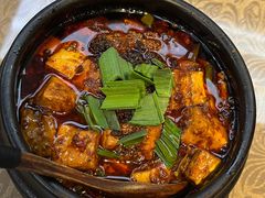 -陈麻婆豆腐(旗舰店)