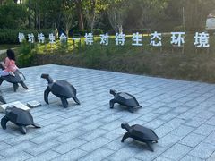 -广东惠东海龟国家级自然保护区