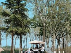 -汉长安城未央宫国家考古遗址公园