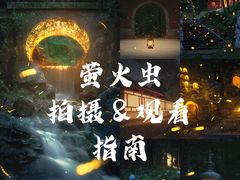 -灵谷景区