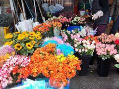 -循礼门鲜花花市(武汉循礼门店)