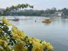 -皇家御河游(紫御湾码头)