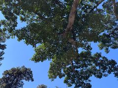 -巍山古城-拱辰楼