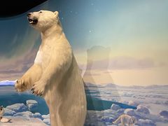 -陕西自然博物馆