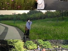 -艾米稻香小镇