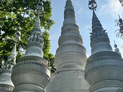 -西双版纳原始森林公园