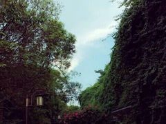android_upload_pic-铁路文化公园