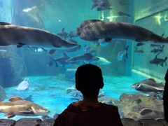 -多彩贵州城极地海洋世界