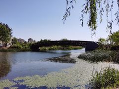 -马家湾湿地公园