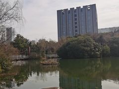 -天鹅湖体育公园