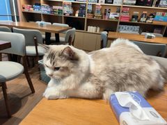 -剧狐剧本杀(徐汇1号店)