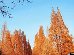 -崂山九水游览区