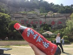 -崂山仰口游览区