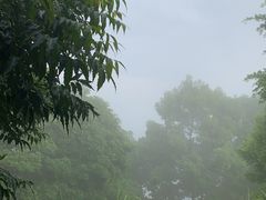 -广州市帽峰山景区