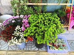 -长颈鹿咖啡(大学路店)